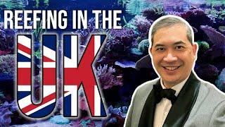 What I Discovered About Reefkeeping in the UK That Inspired Me!