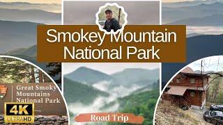 Spring Drive Through Roaring Fork 4K | Scenic Drive & Short Hikes | Great Smoky Mountain Natnl Park