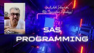 Why learn SAS  Programming?