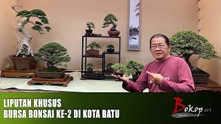 LIPUTAN KHUSUS BURSA BONSAI KE-2 di KOTA BATU