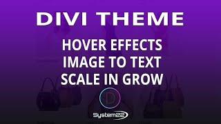 Divi Theme Hover Effects Image To Text Scale In Grow 