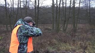 Загонная охота в Чехии, маньчжурский олень, (ноябрь 2012г.)  Hunting in the Czech Republic