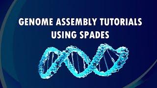 Genome Assembly Workflow Tutorial with SPADes | llumina Reads | Bioinformatics 101 for Beginners