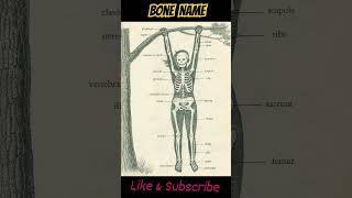 Bone Names for x-ray #shorts #viral #radiology #doctor #trending #ctscan #xray