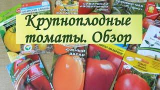 Обзор крупноплодных сортов томатов сибирской селекции