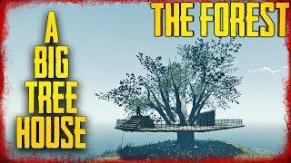 HOW TO BUILD HOUSES IN THE BIG TREES | The Forest