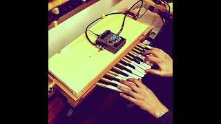 Home-Made Electric Clavichord + EHX Micro Q-TRON = FUNK!