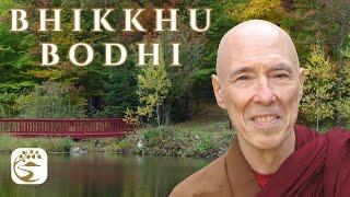 Reconciliation & Liberation: Theravāda & Mahāyāna; Gradual & Sudden; EBT & Later | Bhikkhu Bodhi Q&A