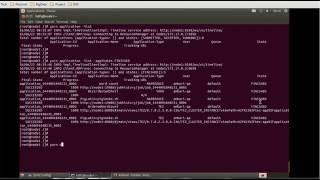 19. Hadoop Administration Tutorial - YARN CLI Commands