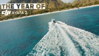 The Year of DJI Avata 2