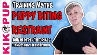 Training Myths and And How To's for NO BITING and Puppy RESTRAINT   – Professional Dog Training