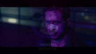 Skyneem (Mr. Kitty) Destroy me COVER на русском.