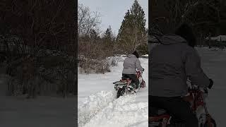 Coleman BT200X Mini Bike In The Snow #shorts #coleman #bt200x #minibike #minibikelife #snow