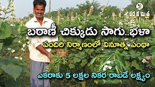 బఠాణీ చిక్కుడుతో లాభాలు పండిస్తున్న రైతు || పందిరి నిర్మాణంలో వినూత్న ఆలోచన || Karshaka Mitra