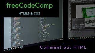 Comment out HTML, freeCodeCamp review html & css