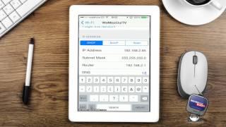 How To Setup DNS for iPad
