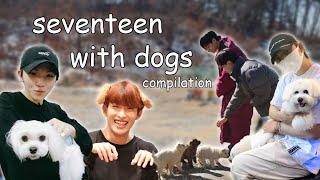 seventeen with dogs compilation