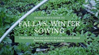 WINTER SOWING OR FALL PLANTING: WHEN to Plant Cut Flowers - Easy Seed Starting, No Grow Lights