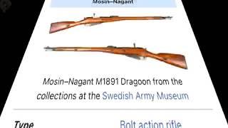 Mosin Nagant moment