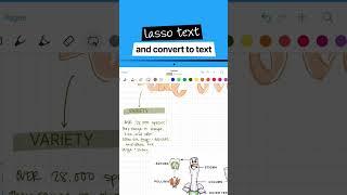 How to Convert Handwriting to Text on your iPad