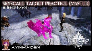 GW2 Skyscale Target Practice in Inner Nayos Adventure (Master)