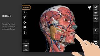 Anatomy 3D Atlas App  Tutorial