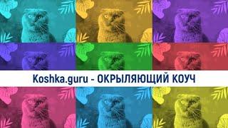 Koshka.guru - ОКРЫЛЯЮЩИЙ КОУЧ