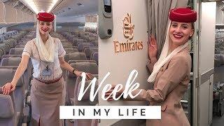 A week of my life as a Flight Attendant | 2