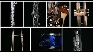 How to Choose a Band or Orchestra Instrument for Paul Effman Music Students