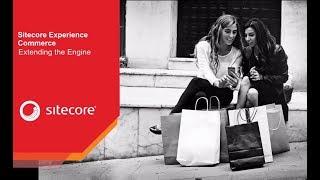 Sitecore XC: Extend Engine w/Plugin Architecture | e-commerce