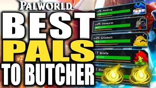 Palworld Feybreak Best Pals To Butcher - How To Make Pals Powerful Easy and Fast