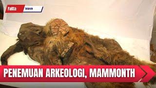 Penemuan Arkeologi l Mammonth l Artefak Kuno Faktaunik l Sejarah l Menarik