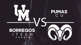 Pumas CU vs Borregos ITESM Puebla | Liga Mayor ONEFA