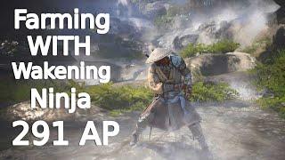 Black desert Online, Farming with my awakening Ninja (291 AP)