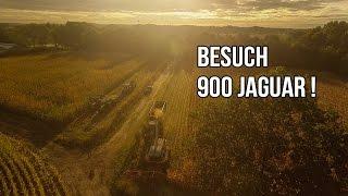 Maisernte  SF 70 2/3 - "GROßE Überraschung (Jaguar ALARM)" / epicfarming