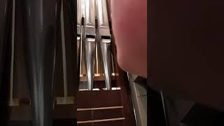 tour of the Stuart g. Davis concert organ