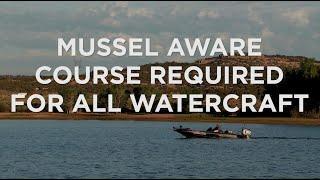Utah Mussel Aware Boater Course Required for All Watercraft Users