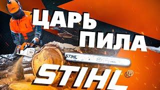 Самая большая в мире бензопила STIHL