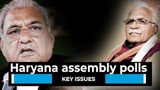 Watch l Haryana assembly polls: Key issues on which election will be fought