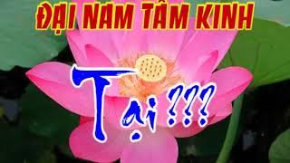 ĐẠI NAM TÂM KINH " TẠI"