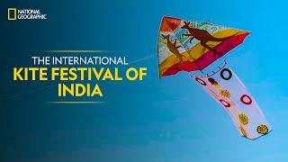 The International Kite Festival of India | It Happens Only in India | National Geographic