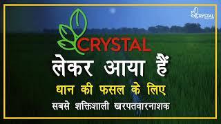 Awsum - A New Paddy herbicide by Crystal Crop