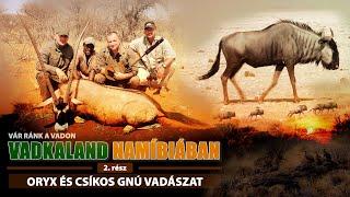 Vadkaland NAMÍBIÁBAN (3/2.rész) - Oryx és Csíkos Gnú vadászat