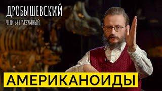 Коренное население Америки: как они попали на Северный и Южный континенты и от кого происходят?