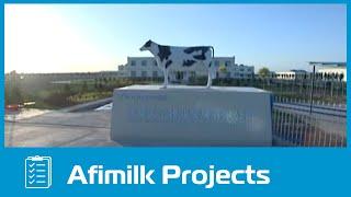 TianNing Dairy Farm in China (Afimilk)