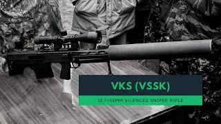 About VKS (VSSK) 12,7mm Silenced Rifle of the Russian special forces