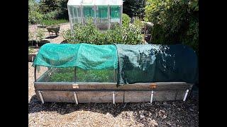 Summertime Vegetable Garden Tips to Protect Your Plants (2024) #25