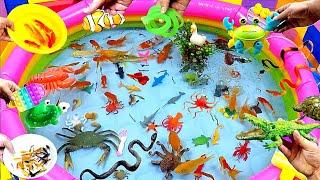 Colorful Cute Animals, Carp, Shark, Goldfish, Turtle, Baba, Duck, Guppies,Betta,Crocodile,Crab,Snake