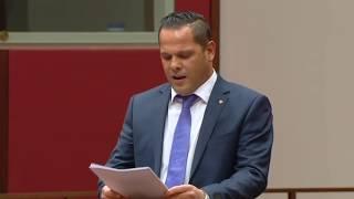 Senator Georgiou Maiden Speech Part 1