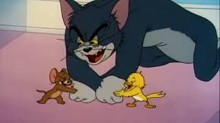 Tom and Jerry cartoon episode 34 - Kitty Foiled 1947 - Funny animals cartoons for kids